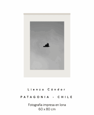Fotografía Lienzo -  Cóndor / Patagonia