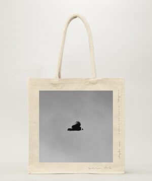 Bolso Cóndor en vuelo - Patagonia (fotografía impresa y bordada en bolso)